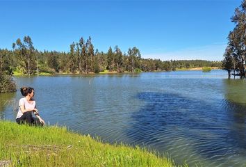 Parcela en  La Estrella, Cardenal Caro