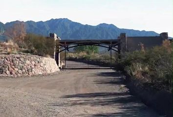 Terrenos en  Luján De Cuyo, Mendoza