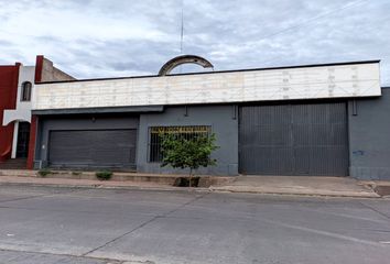 Galpónes/Bodegas en  Pedro Molina, Mendoza