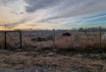 Terrenos en  Plottier, Neuquen