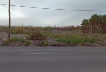 Terrenos en  Rodeo Del Medio, Mendoza