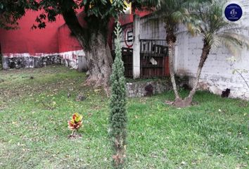 Lote de Terreno en  Carretera Córdoba - Entronque Boticaria, La Luz Del Mundo, Córdoba, Veracruz De Ignacio De La Llave, 94696, Mex