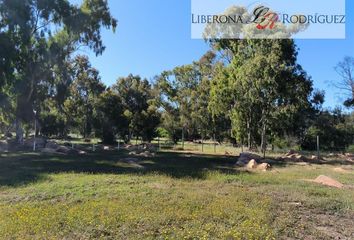 Parcela en  Limache, Quillota