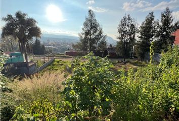 Lote de Terreno en  Michoacán, Pátzcuaro