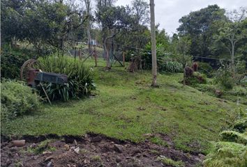 Lote de Terreno en  Comuna 7, Robledo, Medellín