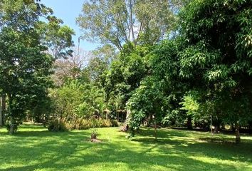 Rancho en  México, Cerrada Juárez 502, Sur Primera Sección, Oriente Cuarta Sección, Comalcalco, Tabasco, 86658, Mex