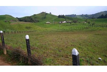 Lote de Terreno en  San Pedro De Los Milagros, Antioquia