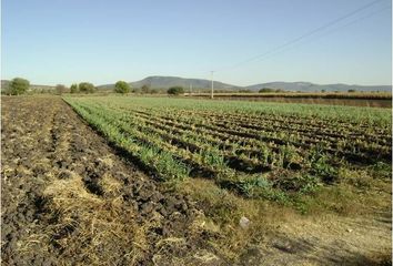 Lote de Terreno en  76721, Pedro Escobedo, Querétaro, Mex