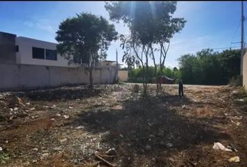 Lote de Terreno en  Dzitya, Mérida, Yucatán, Mex