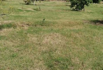 Lote de Terreno en  Municipio De Vicente Guerrero (puebla)