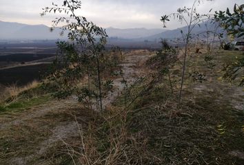 Parcela en  Colina, Chacabuco