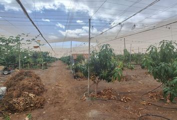 Terreno en  San Nicolas De Tolentino, Palmas (las)