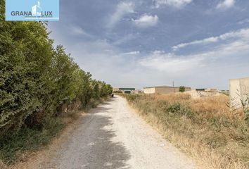 Terreno en  Atarfe, Granada Provincia