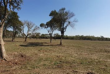 Terrenos en  Alejandra, Santa Fe