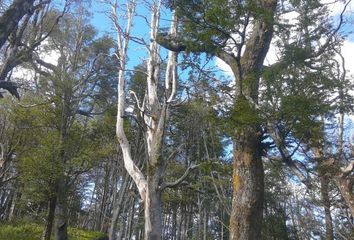 Parcela en  Lago Ranco, De Ranco