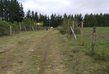 Parcela en  Freire, Cautín