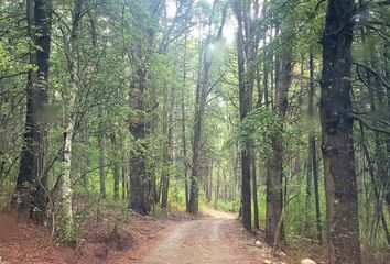 Terrenos en  El Bolsón, Río Negro