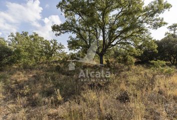 Chalet en  Pastrana, Guadalajara Provincia