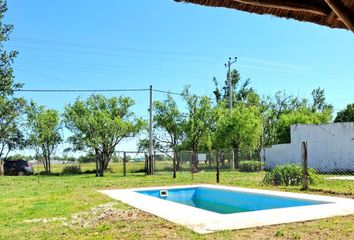 Quinta/Finca en  Pehuajó, Partido De Pehuajó