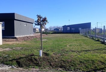 Terrenos en  Carlos Spegazzini, Partido De Ezeiza