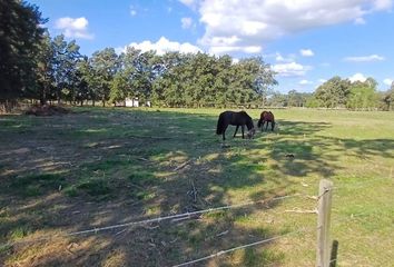 Terrenos en  San Vicente, Partido De San Vicente