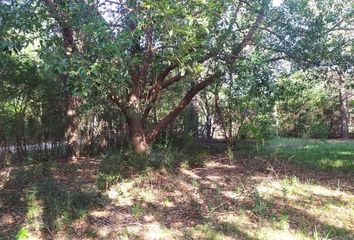 Quinta/Finca en  General Rodríguez, Partido De General Rodríguez