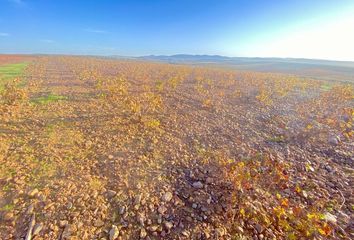 Terreno en  Santa Marta De Los Barros, Badajoz Provincia