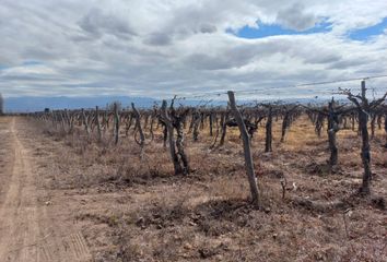 Terrenos en  San Francisco, Mendoza