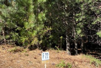 Terrenos en  Ruta Nacional 22, Las Lajas, Picunches, Neuquén, Arg