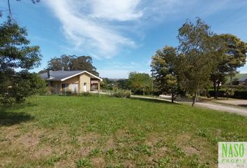 Terrenos en  Calle Irene, Sierra De Los Padres, General Pueyrredón, B7627, Provincia De Buenos Aires, Arg