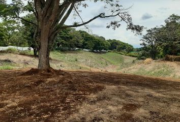 Lote de Terreno en  Cerritos, Pereira