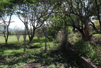 Lote de Terreno en  Calle Licenciado Luis Soto Y Gama, Otilio Montaño, Yautepec De Zaragoza, Yautepec, Morelos, 62733, Mex