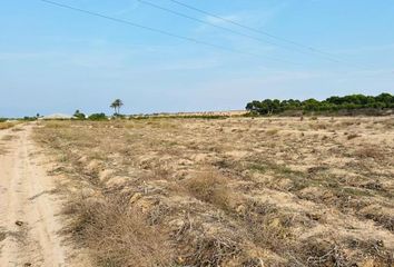 Terreno en  La Marina, Alicante Provincia