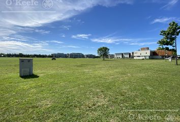 Terrenos en  Hucal, La Pampa