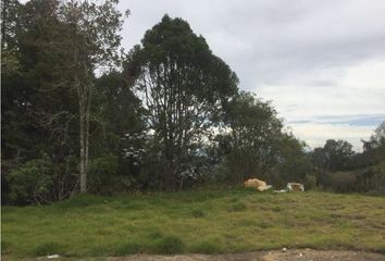 Lote de Terreno en  Envigado, Antioquia