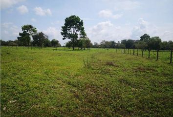 Lote de Terreno en  Cerritos, Pereira