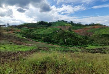 Lote de Terreno en  La Trinidad, Manizales