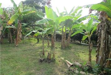 Lote de Terreno en  Poblado Campestre, Candelaria