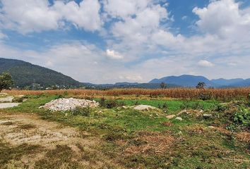 Lote de Terreno en  Carretera Toluca-valle De Bravo, Amanalco, México, 51260, Mex