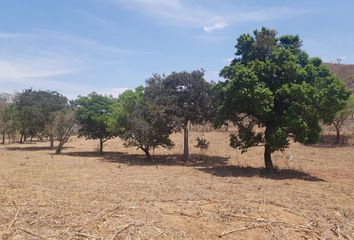 Rancho en  30471, Cuauhtémoc, Chiapas, Mex