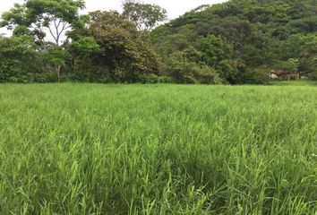 Rancho en  Carretera A Villa Hidalgo, Villaflores, Chiapas, 30473, Mex