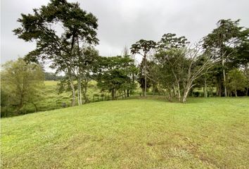 Lote de Terreno en  Rionegro Antioquía