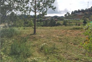 Lote de Terreno en  La Nubia, Medellín