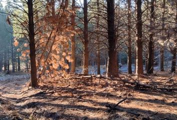 Terrenos en  Lácar, Neuquen