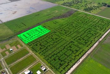 Terrenos en  Avellaneda, Santa Fe Provincia