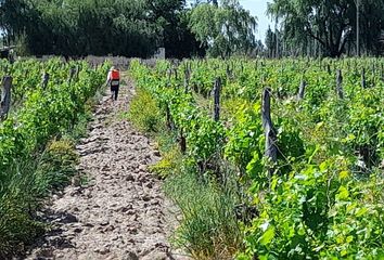 Quinta/Finca en  Las Heras, Mendoza