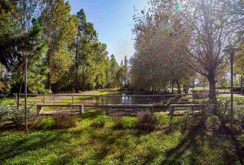 Terrenos en  Piñero, Santa Fe