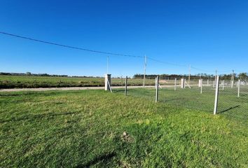 Terrenos en  Carlos Spegazzini, Partido De Ezeiza