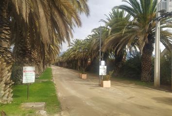 Parcela en  Isla De Maipo, Talagante