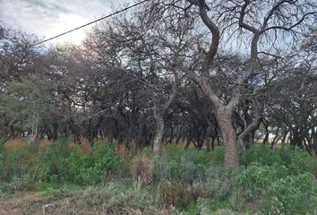 Terrenos en  Ataliva Roca, La Pampa